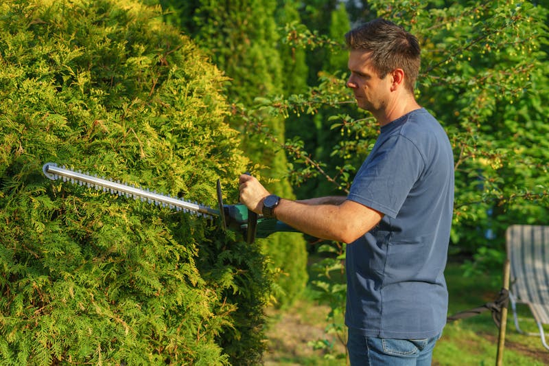 Hedge trimming service